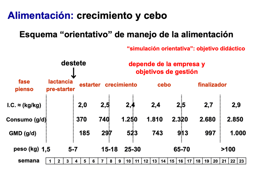 Miniatura del documento ALIMENTACION-CEBO.png