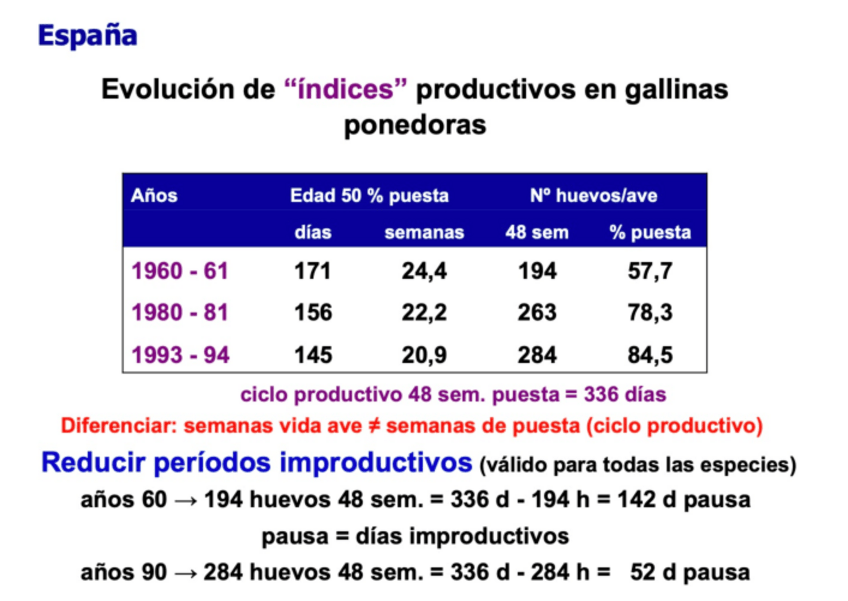 Miniatura del documento Huevo.pdf