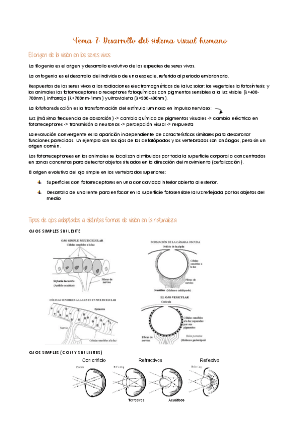 Miniatura del documento Tema-7.pdf