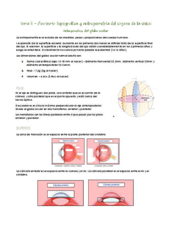 Miniatura del documento Tema-8.pdf