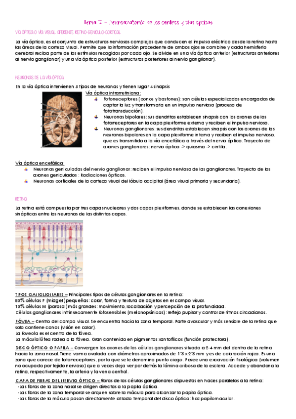 Miniatura del documento Tema-12.pdf