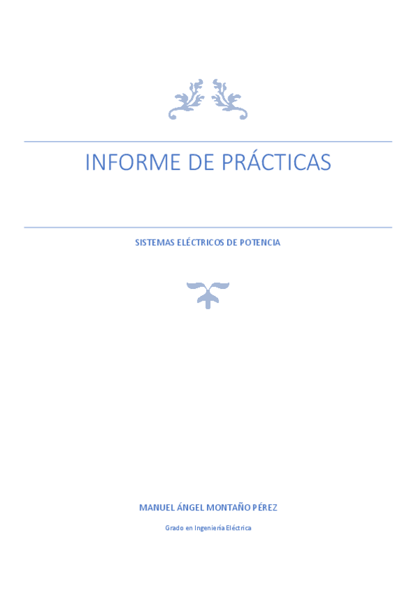 Miniatura del documento INFORME DE PRÁCTICAS.pdf