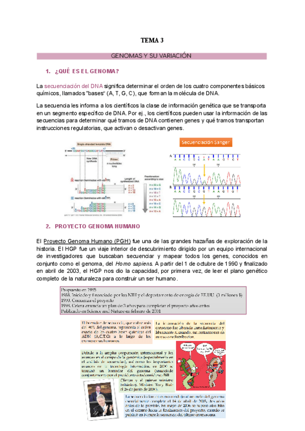 Miniatura del documento TEMA-3.-GENOMAS.pdf