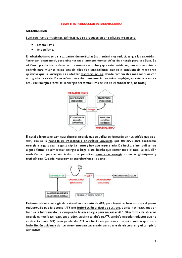 Miniatura del documento BLOQUE-I-INTRODUCCION-AL-METABOLISMO.pdf