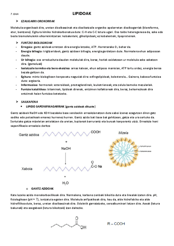Miniatura del documento 7.-Lipidoak.pdf