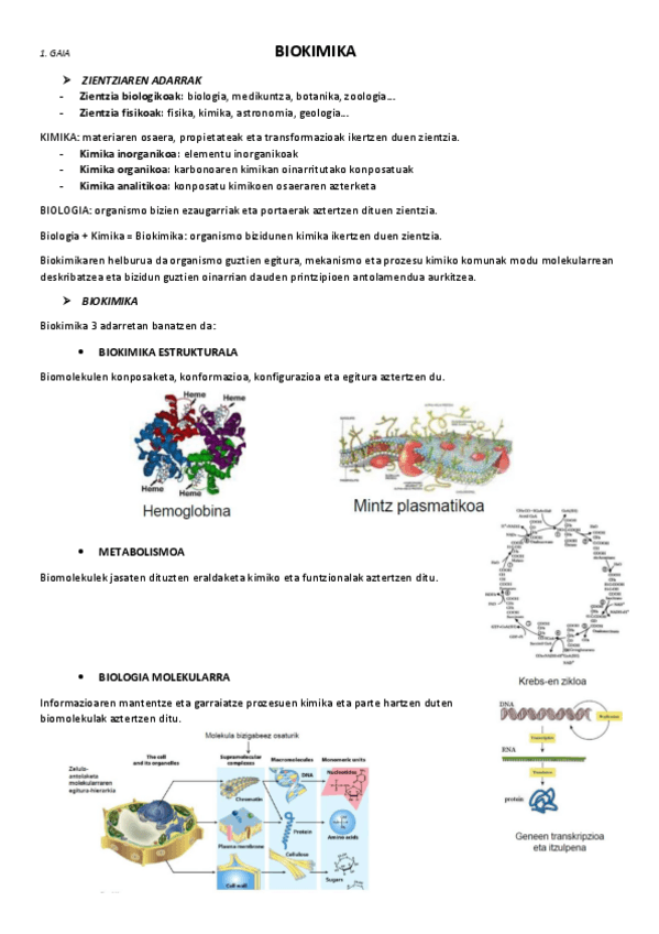 Miniatura del documento 1.-Biokimika.pdf