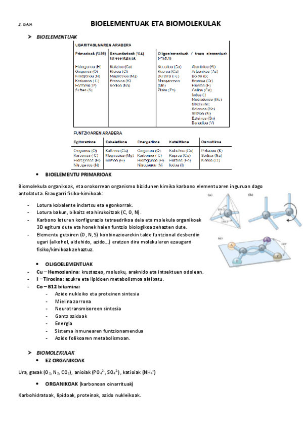 Miniatura del documento 2.-Bioelementuak-eta-biomolekulak.pdf