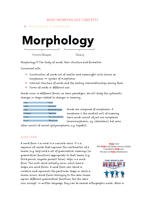 Miniatura del documento Morphology-apuntes-M.pdf