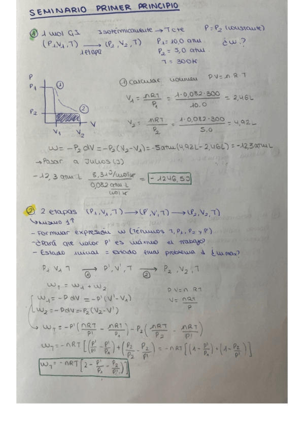 Miniatura del documento seminario-primer-principio.pdf