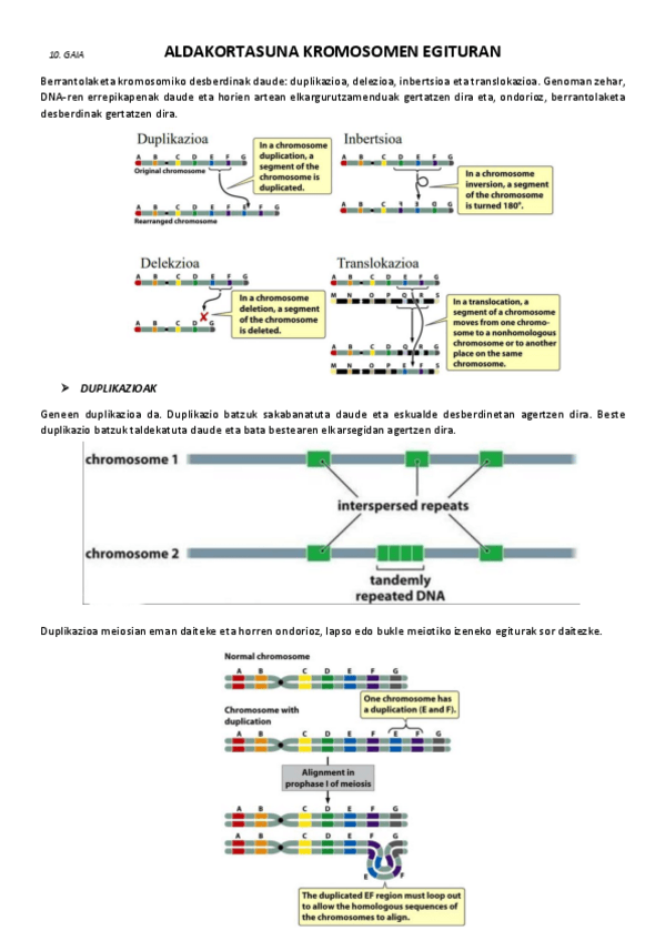 Miniatura del documento 10.-Aldakortasuna-kromosomen-egituran.pdf