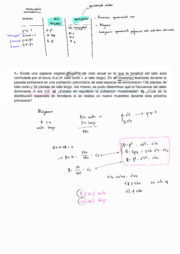 Miniatura del documento EjericiosT4.pdf