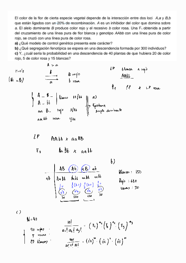 Miniatura del documento EjercicioT3.pdf