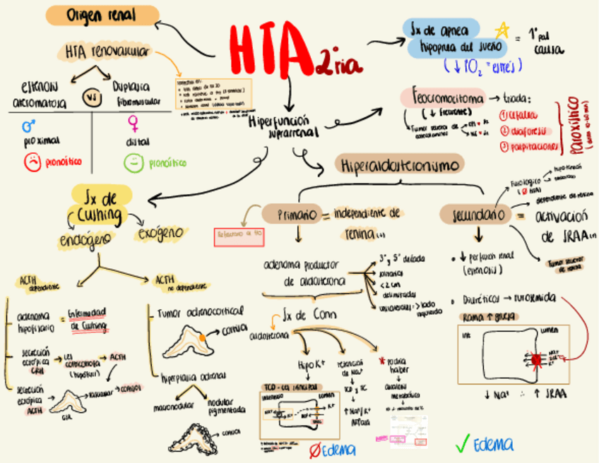 Miniatura del documento HTA-secundaria.pdf