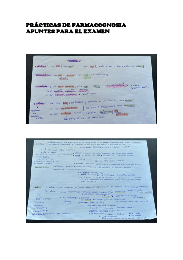 Miniatura del documento APUNTES-PARA-EL-EXAMEN DE PRÁCTICAS.pdf