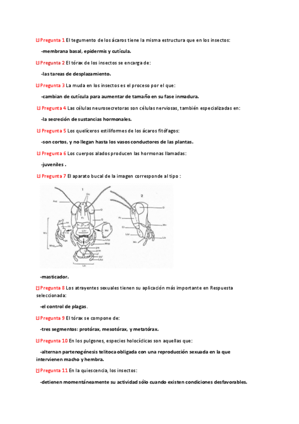 Miniatura del documento PREGUNTAS EXAMENS SEGUNDO PARCIAL DE SANIDAD VEGETAL y fotos de examenes.pdf
