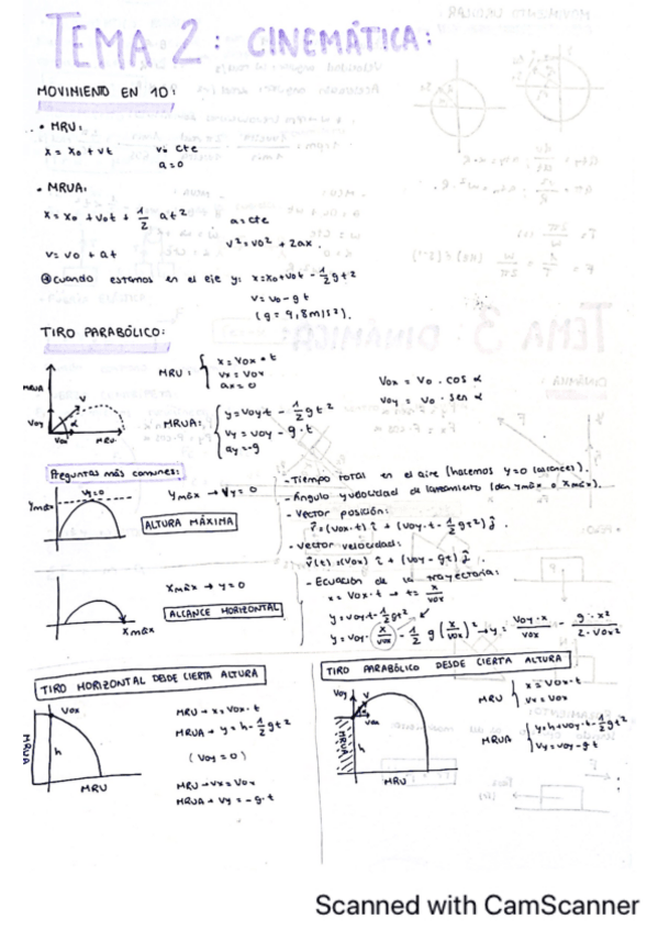Miniatura del documento Apuntes-TODOS-los-temas.pdf
