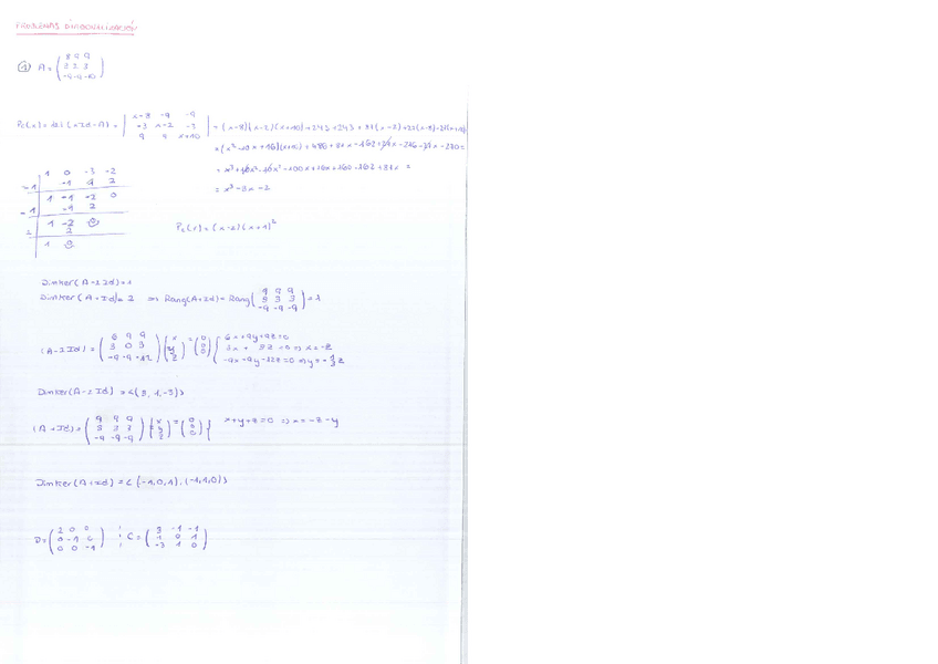 Miniatura del documento Problemas-Algebra-Computacional.pdf