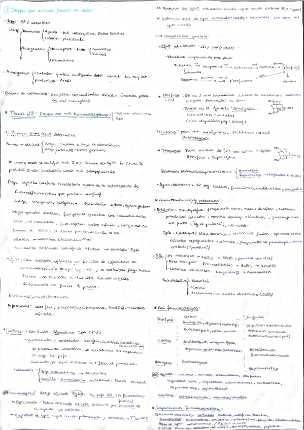 Miniatura del documento Resumen segundo parcial gnosia .pdf
