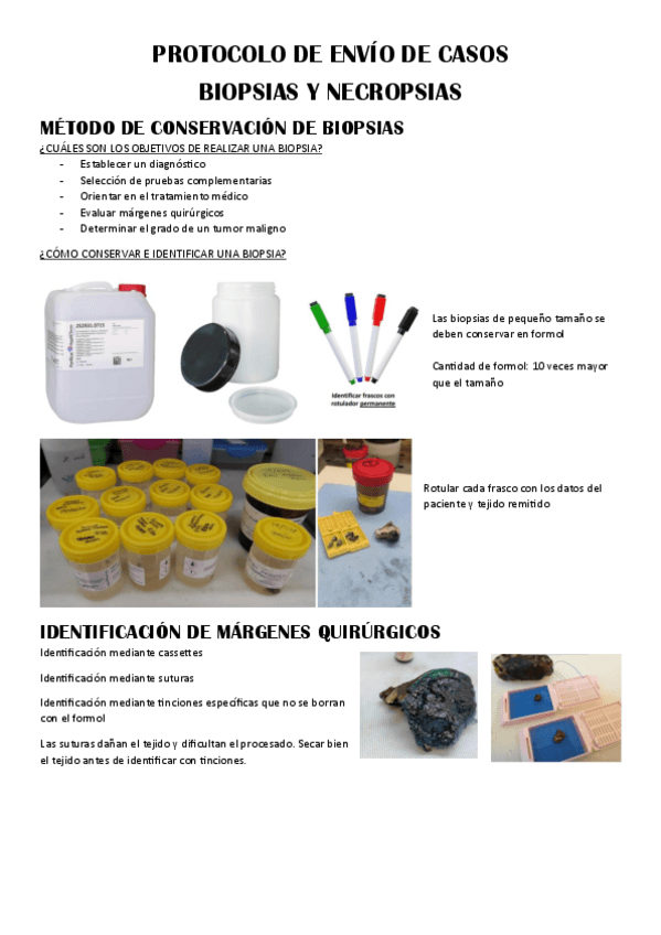Miniatura del documento T-1.-Protocolo-de-envio-de-casos-biopsias-y-necropsias.pdf