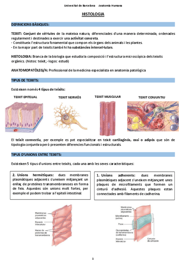 Miniatura del documento HISTOLOGIA-TEMA-1.pdf