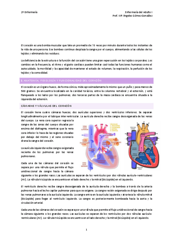Miniatura del documento TEMA-4-M-ANGELES.pdf