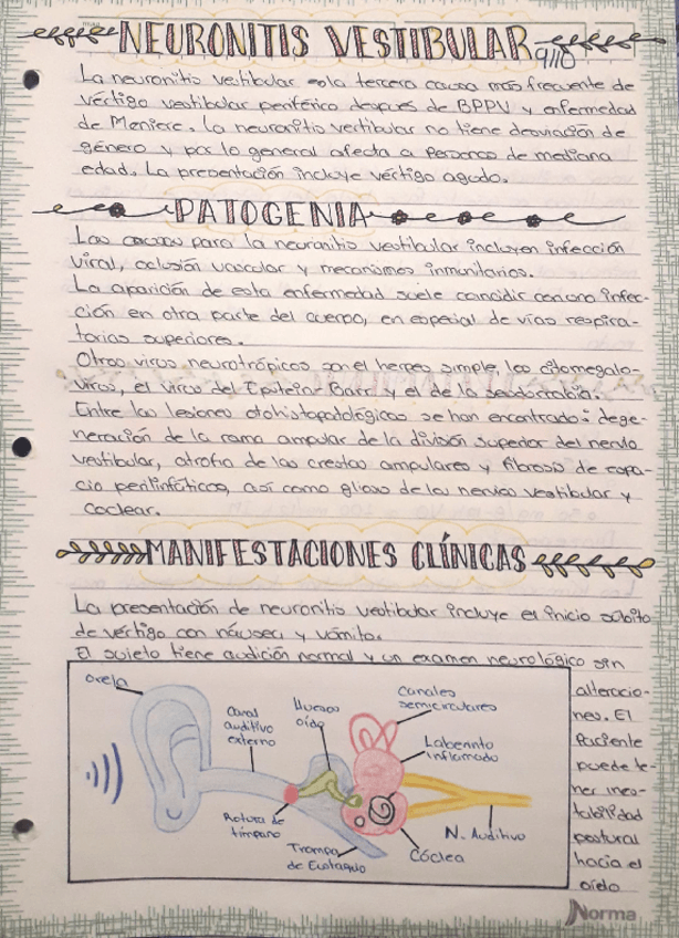 Miniatura del documento NEURONITIS-VESTIBULAR.pdf