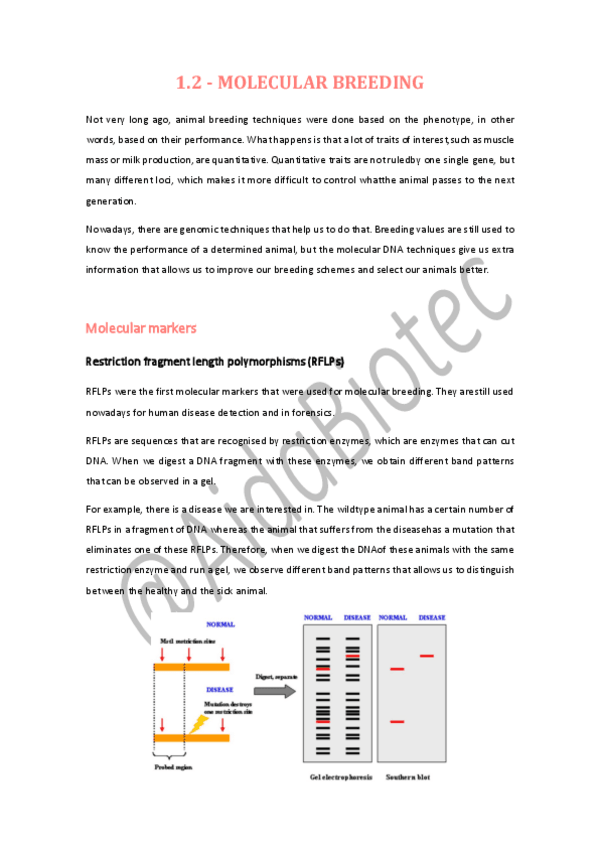 Miniatura del documento LESSON-1.2.pdf
