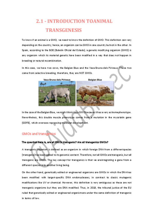 Miniatura del documento LESSON-2.1.pdf