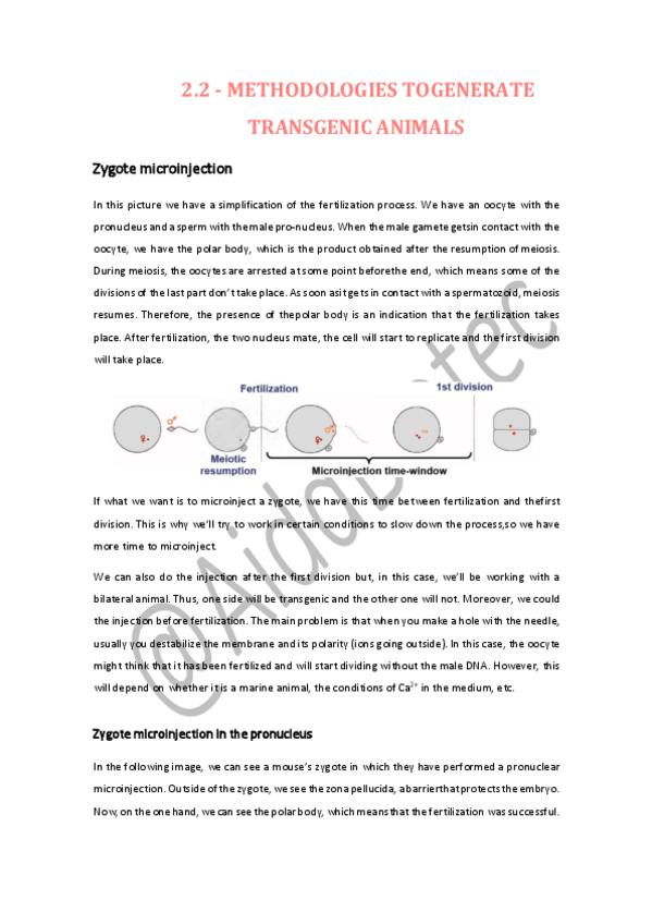 Miniatura del documento LESSON-2.2.pdf