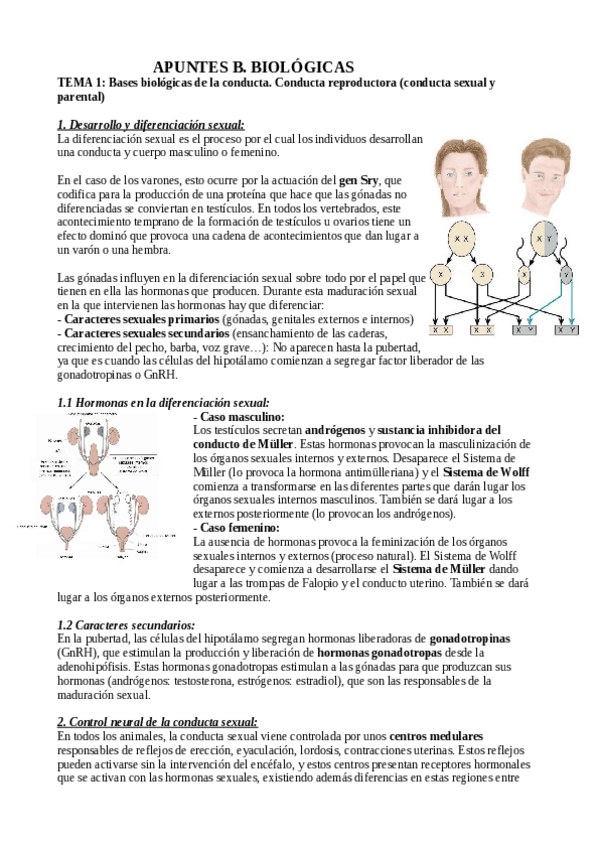 Miniatura del documento Apuntes-Bases-biologicas-de-la-conducta.pdf