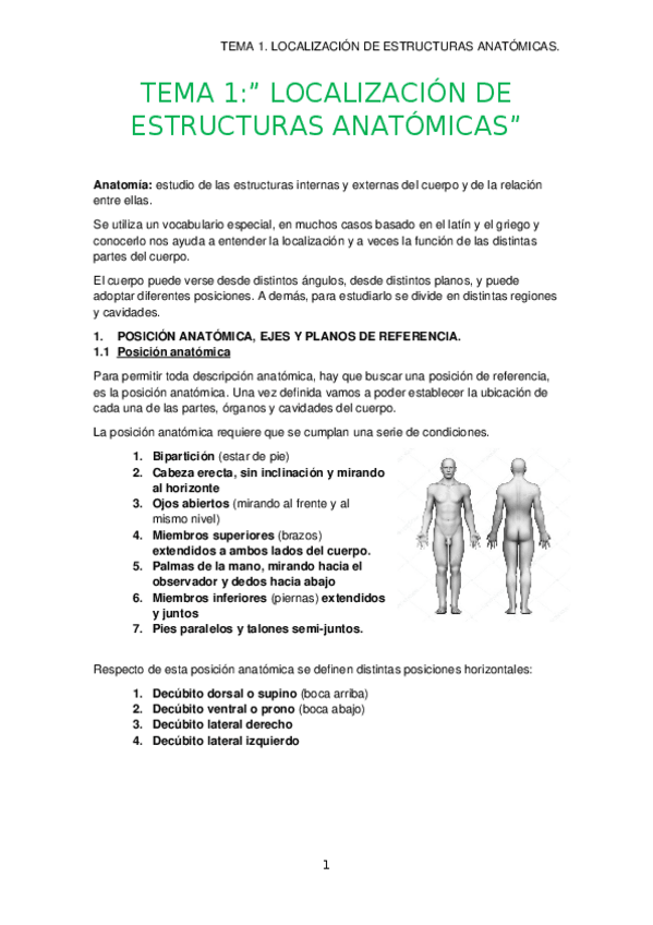 Miniatura del documento TEMA-1.-LOCALIZACION-DE-ESTRUCTURAS-ANATOMICAS..docx