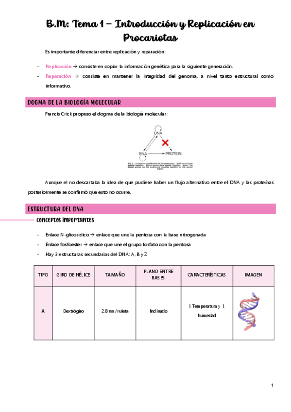 Miniatura del documento Tema-1BM.pdf