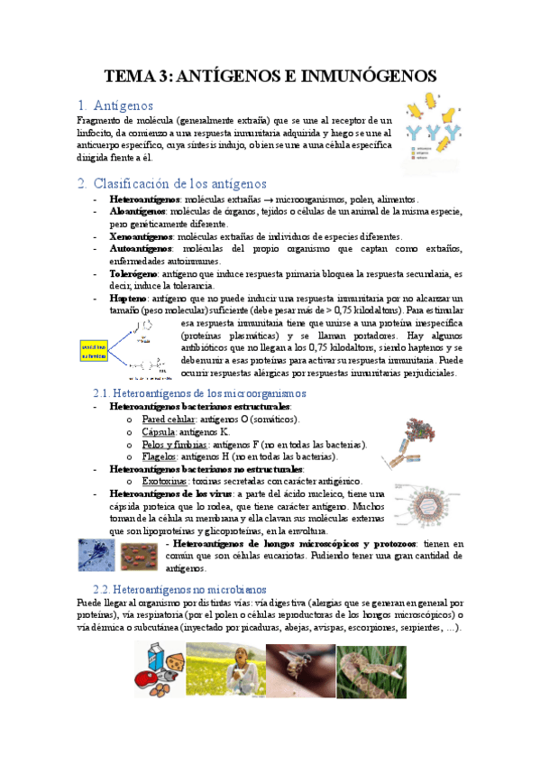 Miniatura del documento TEMA-3-ANTIGENOS-E-INMUNOGENOS.pdf