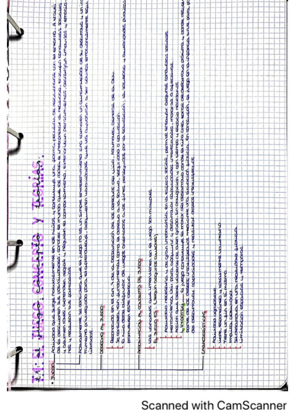 Miniatura del documento Temas-El-Juego-Infantil-y-su-Metodologia..pdf