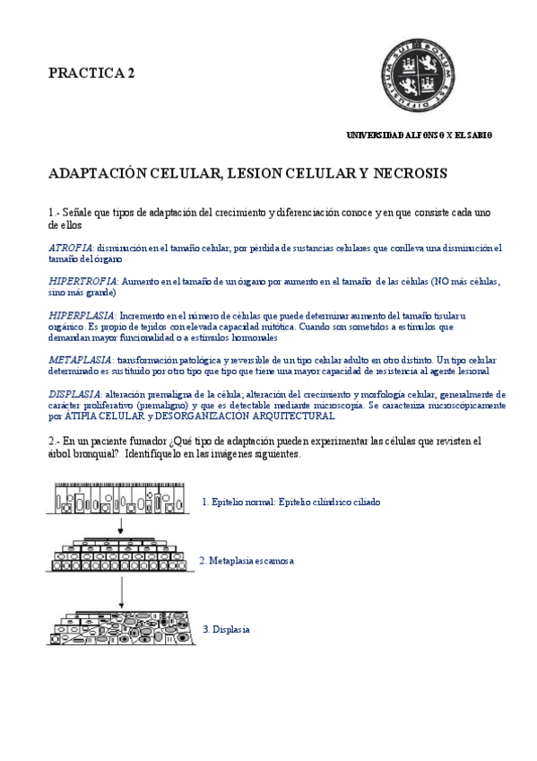 Miniatura del documento Practica-2.pdf