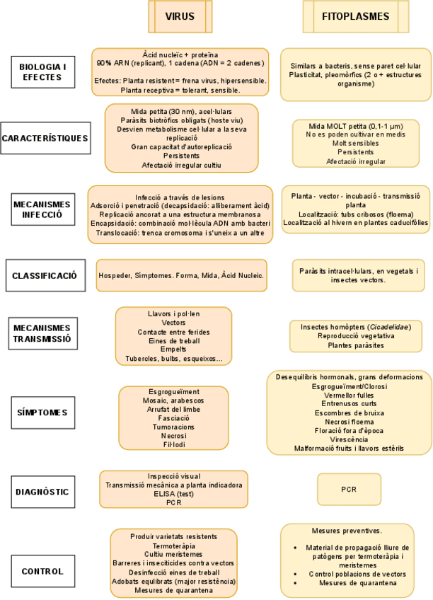 Miniatura del documento Virus-i-fitoplasmes.pdf