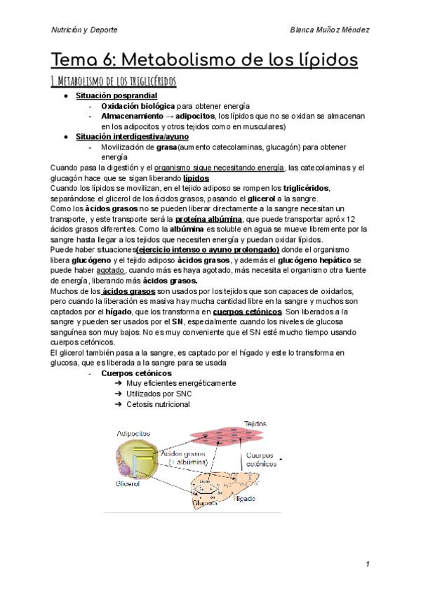 Miniatura del documento tema-6-nutri.pdf