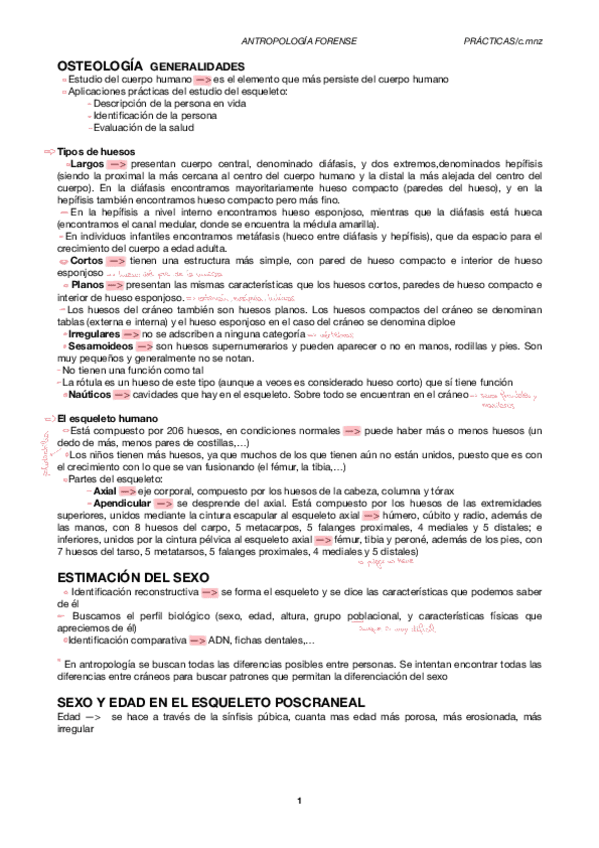 Miniatura del documento Practicas.pdf