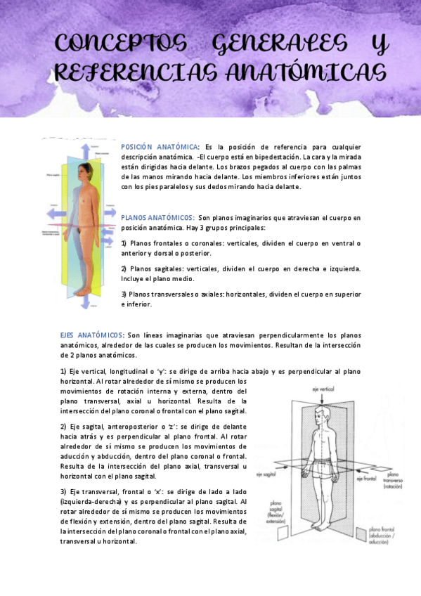 Miniatura del documento TEMA-1-ANATOMIA-EEII.pdf