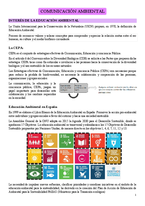 Miniatura del documento 2-Educacion-y-Comunicacion-Ambiental.pdf