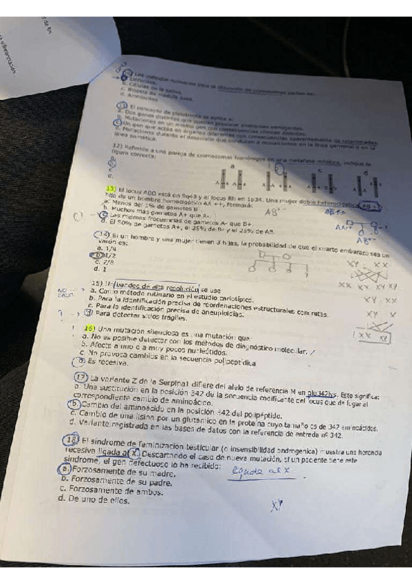 Miniatura del documento WhatsApp-Image-2023-01-17-at-12.03.02-1.pdf