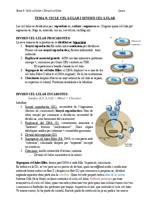 Miniatura del documento Bio-T9-teoria-CICLE-CELLULAR-I-DIVISIO-CELLULAR.docx.pdf