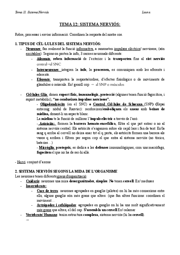 Miniatura del documento Bio-T12-teoria-SISTEMA-NERVIOS.docx.pdf
