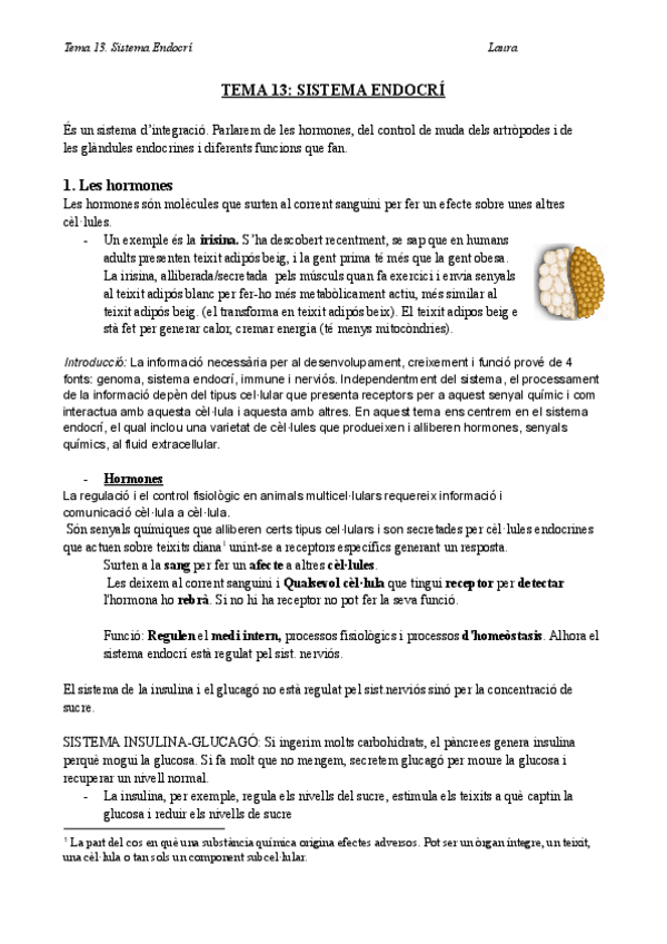 Miniatura del documento Bio-T13-teoria-SISTEMA-ENDOCRI.docx.pdf