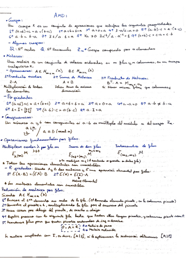 Miniatura del documento Apuntes-AMD.pdf