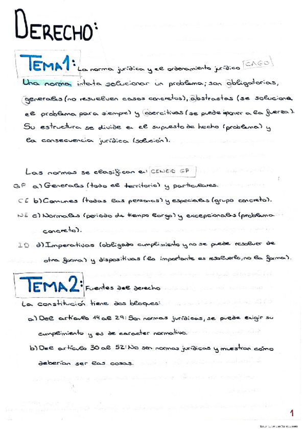 Miniatura del documento TEMAS-1-4.pdf