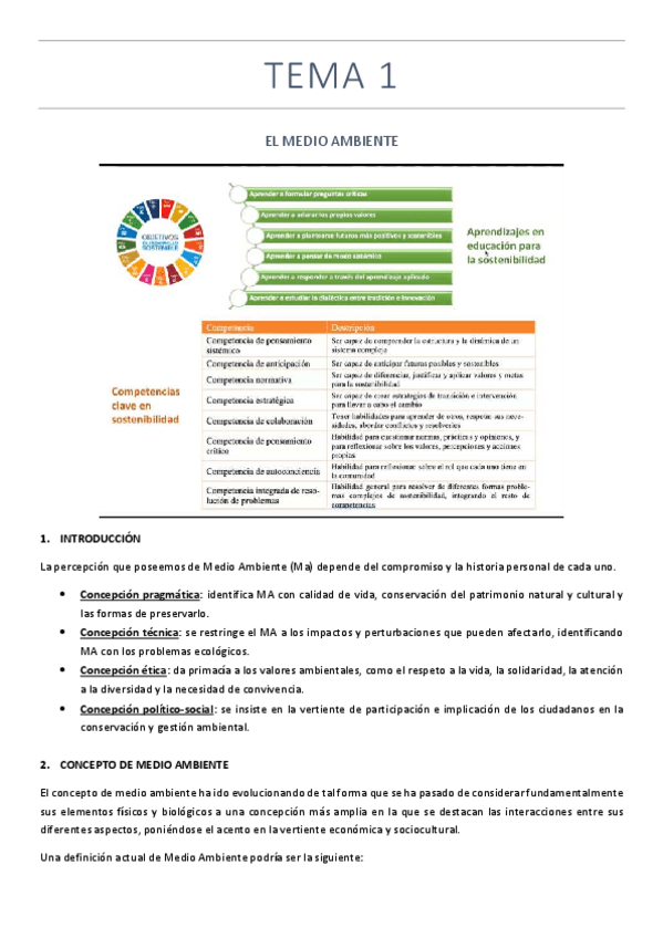 Miniatura del documento TEMA-1-DIDACTICA-DEL-MA.pdf