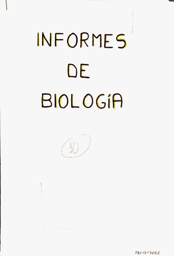 Miniatura del documento Informe-practicas-bio.pdf