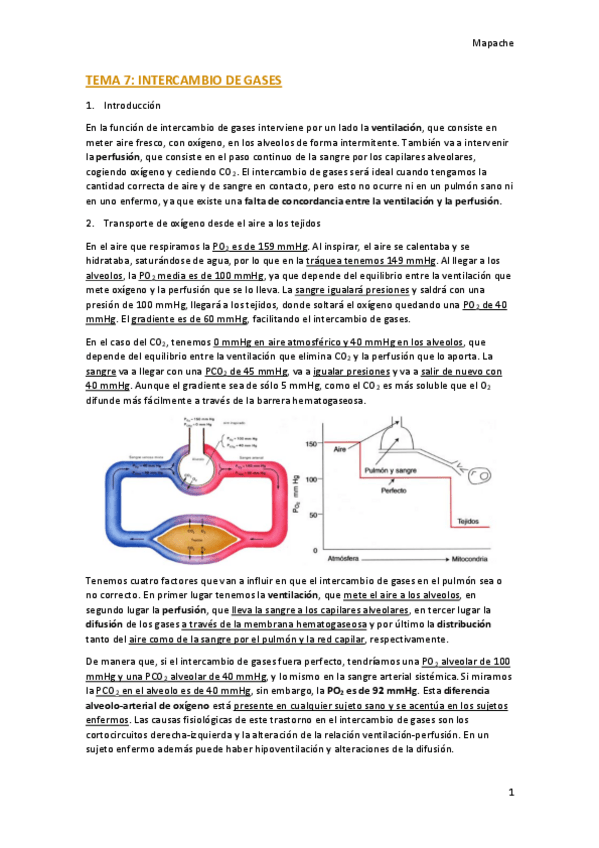 Miniatura del documento TEMA-7.pdf