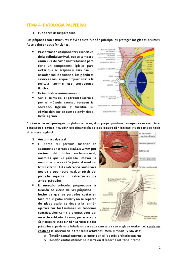 Miniatura del documento TEMA-4.pdf